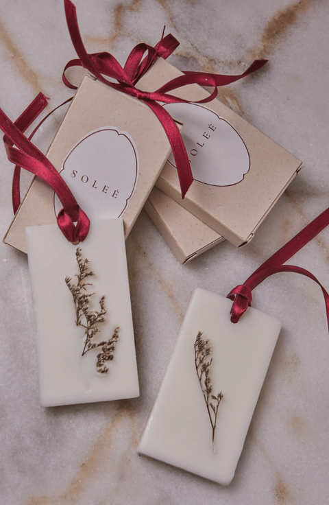 Wax Melts Closet Bars - Paradise Bloom