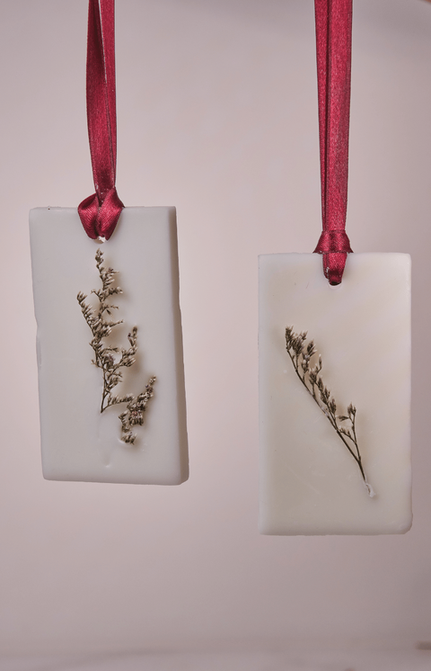 Wax Melts Closet Bars - Paradise Bloom